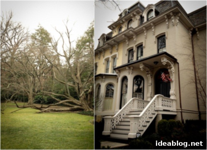 Unveiling Dumbarton Oaks 1 featured 100