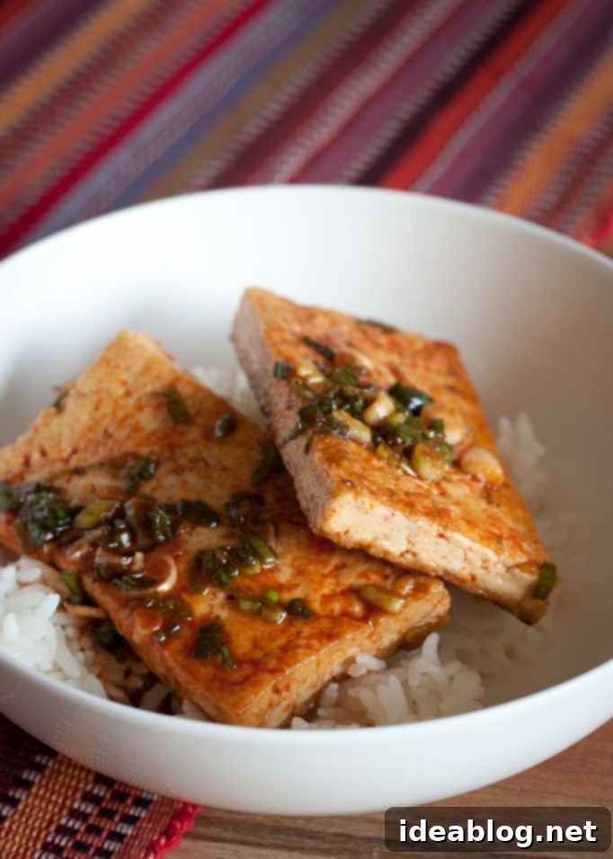Korean Tofu: A Savory Simmer 1 featured 103
