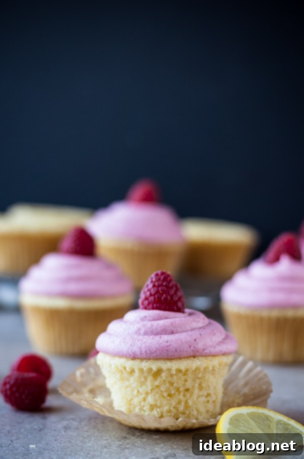 Raspberry Lemonade Cocktail Cupcakes 1 featured 10679