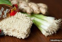 Ginger Scallion Reverie