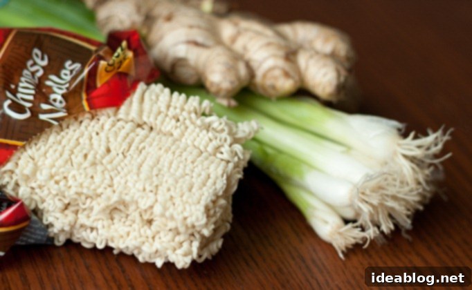 Ginger Scallion Reverie 1 featured 115