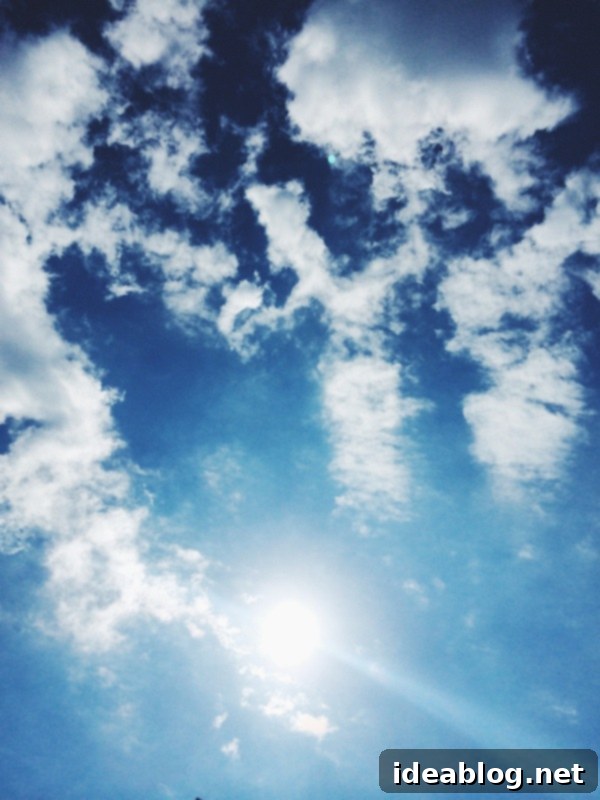 The Sunday Almanac 1 featured 12176