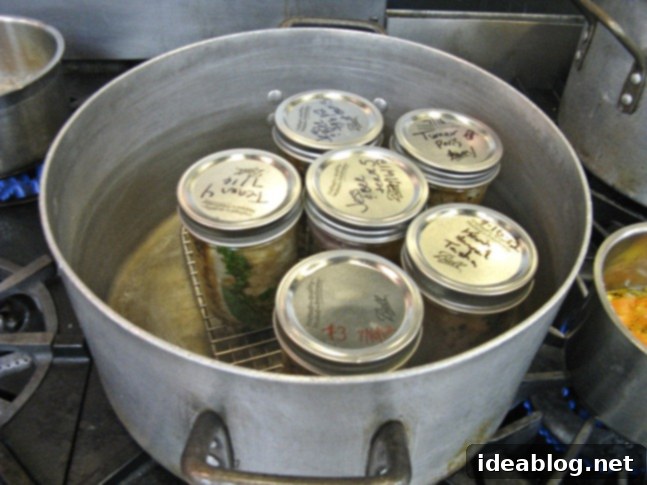 The Art of Preserving Your Harvest 1 featured 123