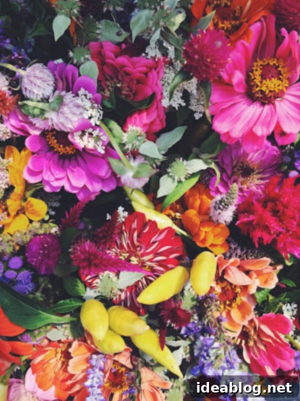 The Sunday Bloom 1 featured 14016