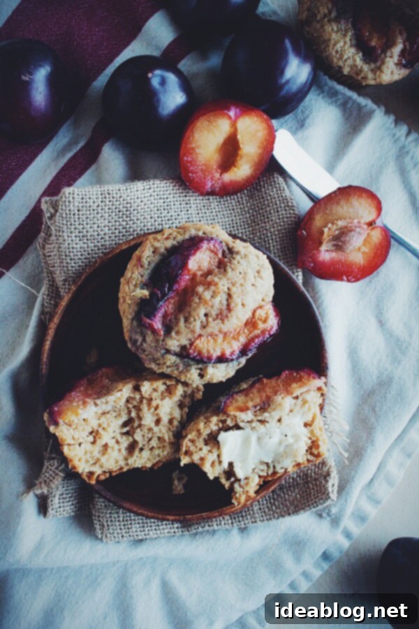 Zingy Plum Ginger Muffins 1 featured 14308