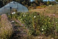 Blue Hill Stone Barns: A Farm-to-Table Journey