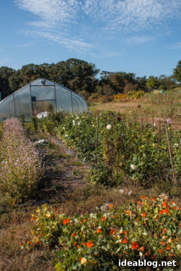 Blue Hill Stone Barns: A Farm-to-Table Journey 1 featured 16615
