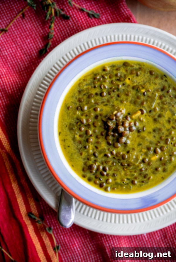 Fragrant Indian Green Lentil and Coconut Soup 1 featured 16863