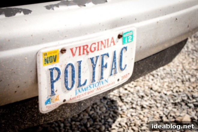 Charlottesville Awaits: Our Scenic Drive 1 featured 175