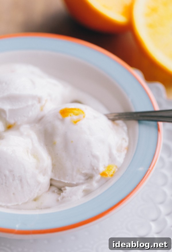 Golden Orange Coconut Chill 1 featured 19672