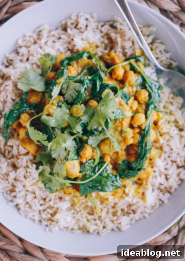 Slow-Braised Indian Chicken and Chickpea Curry 1 featured 19681