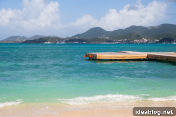 Island Immersion Chapter Two 1 featured 20150