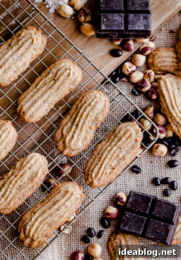 Decadent Espresso Hazelnut Cookies with Dark Chocolate Drizzle 28 featured 20558