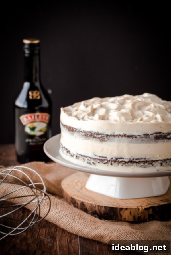 Decadent Guinness Stout Cake with Bailey's Cream Cheese Frosting 1 featured 21032