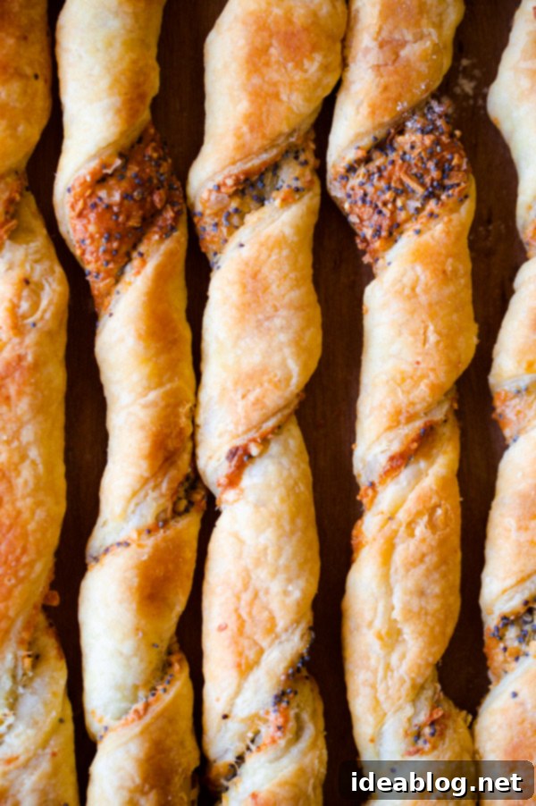 Golden Everything Bagel Cheese Twirls 1 featured 21482