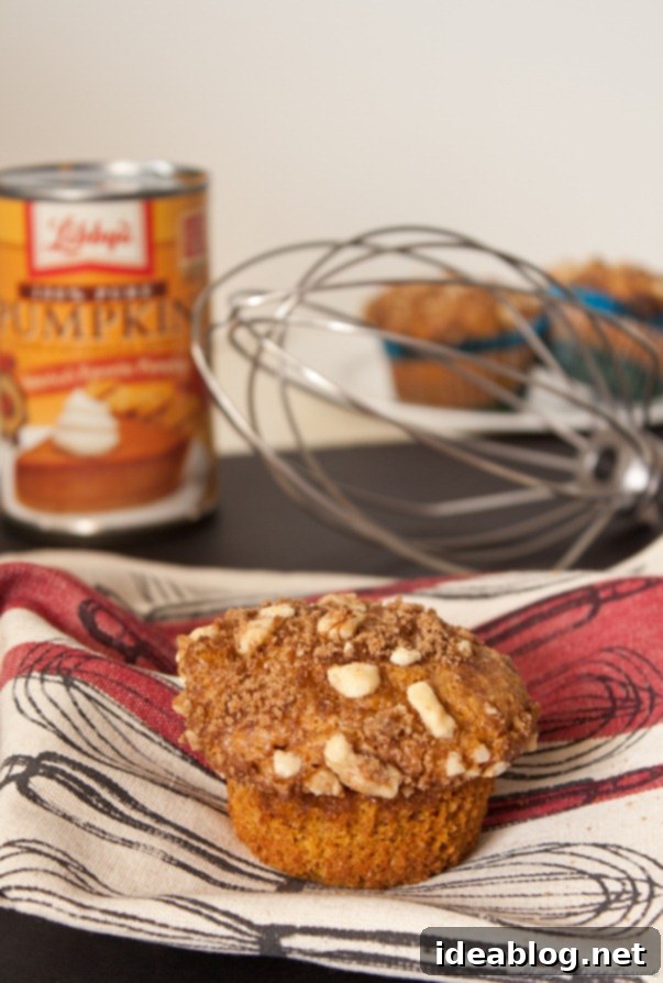 Spiced Pumpkin Muffins with Toasted Walnut Streusel 1 featured 236