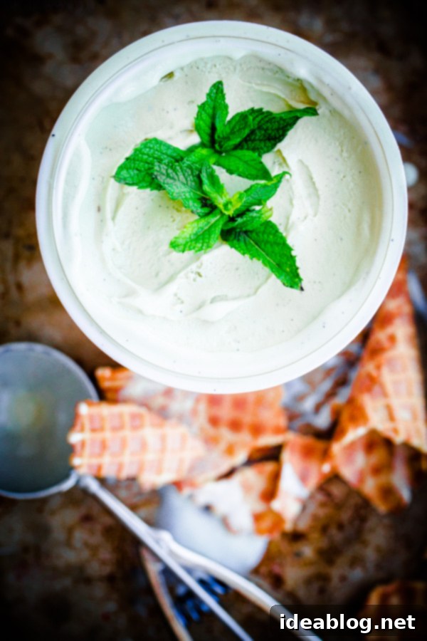 Minty Vanilla Dream 1 featured 24292