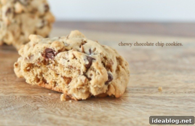 Gooey, Chewy Chocolate Chip Bliss 3 featured 246