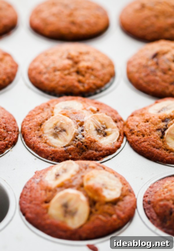 Irresistible Espresso Banana Chocolate Chunk Muffins 1 featured 25026