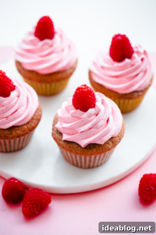 Jammy Raspberry Bliss Cupcakes 1 featured 25128