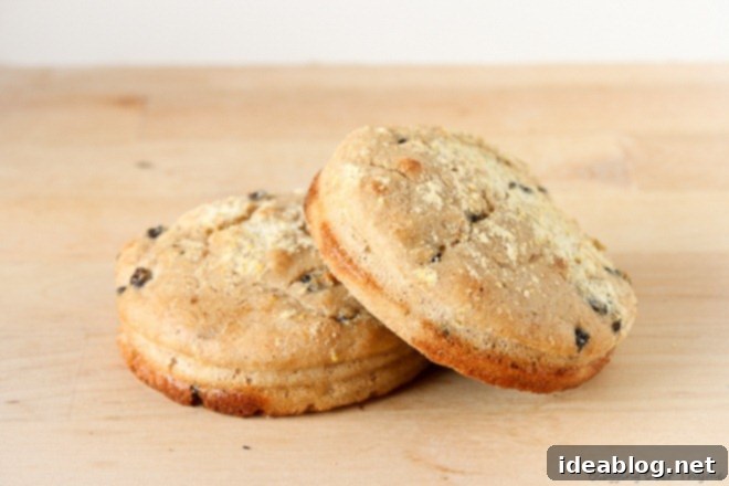 Homemade Cinnamon Raisin English Muffins 1 featured 253