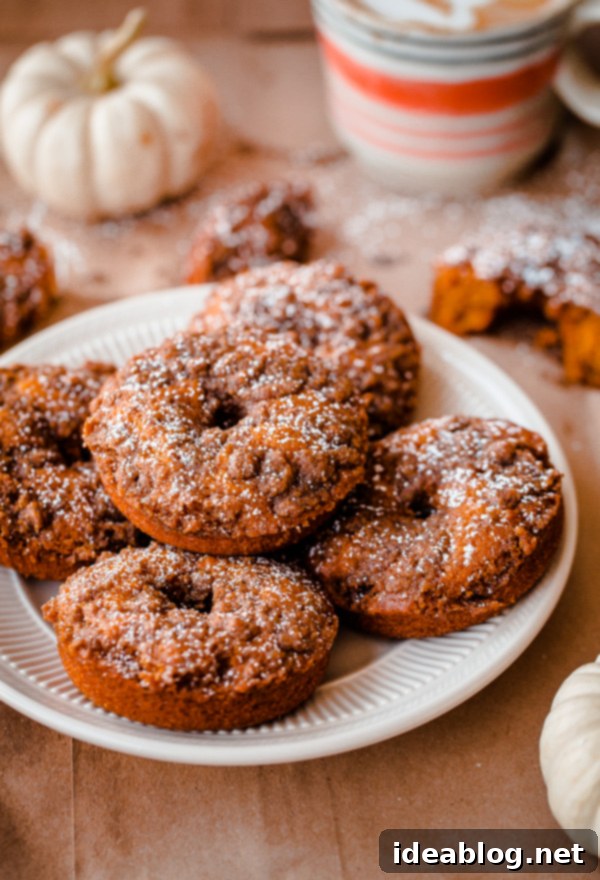 Golden Baked Pumpkin Doughnuts with Cardamom Streusel 3 featured 25653