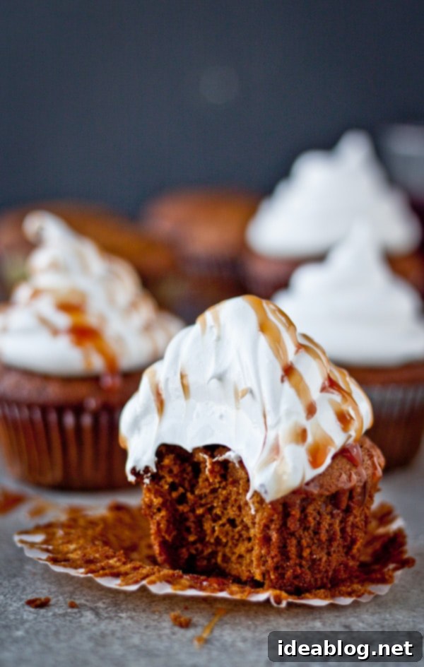 The Ultimate Holiday Bake Plan 1 featured 27014