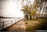 Spring’s Gentle Blush