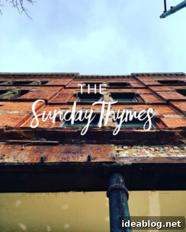 The Sunday Quill 1 featured 28543