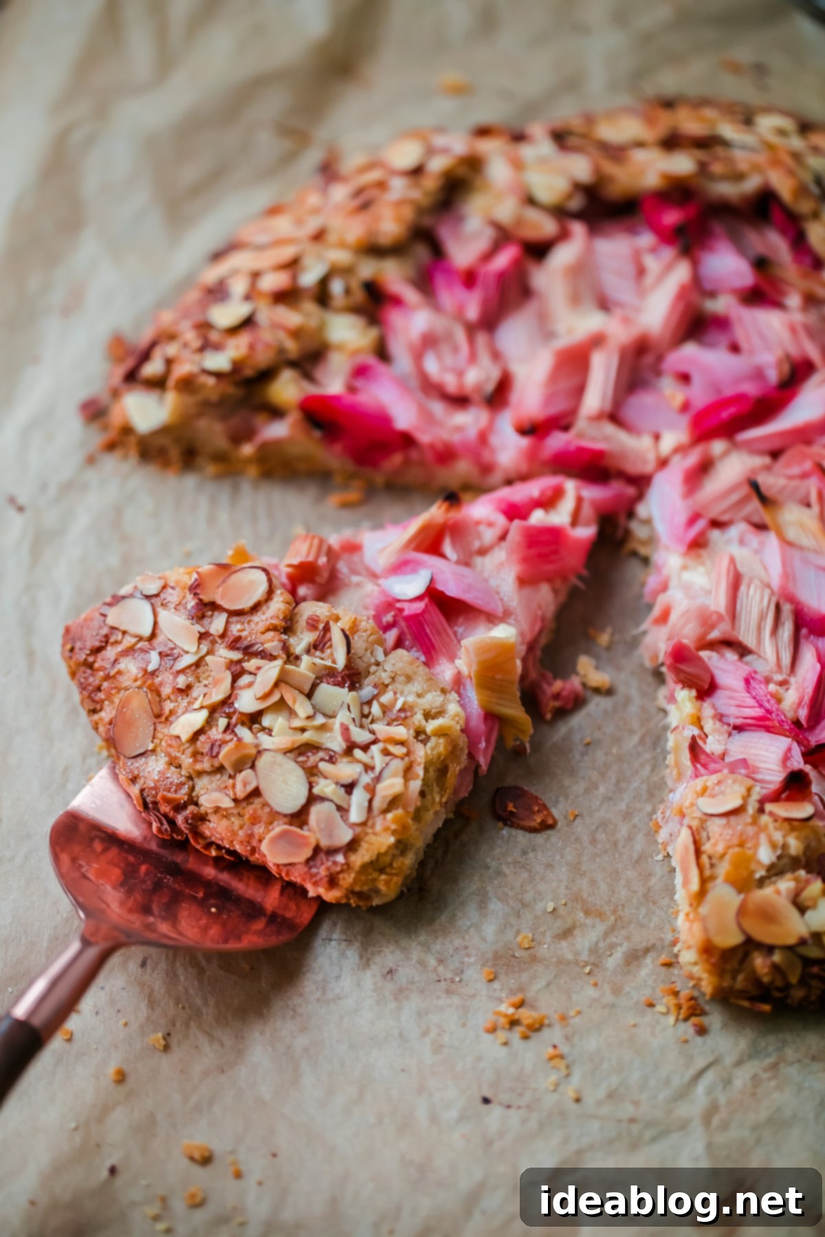 Sun-Kissed Rhubarb Almond Galette 1 featured 29644