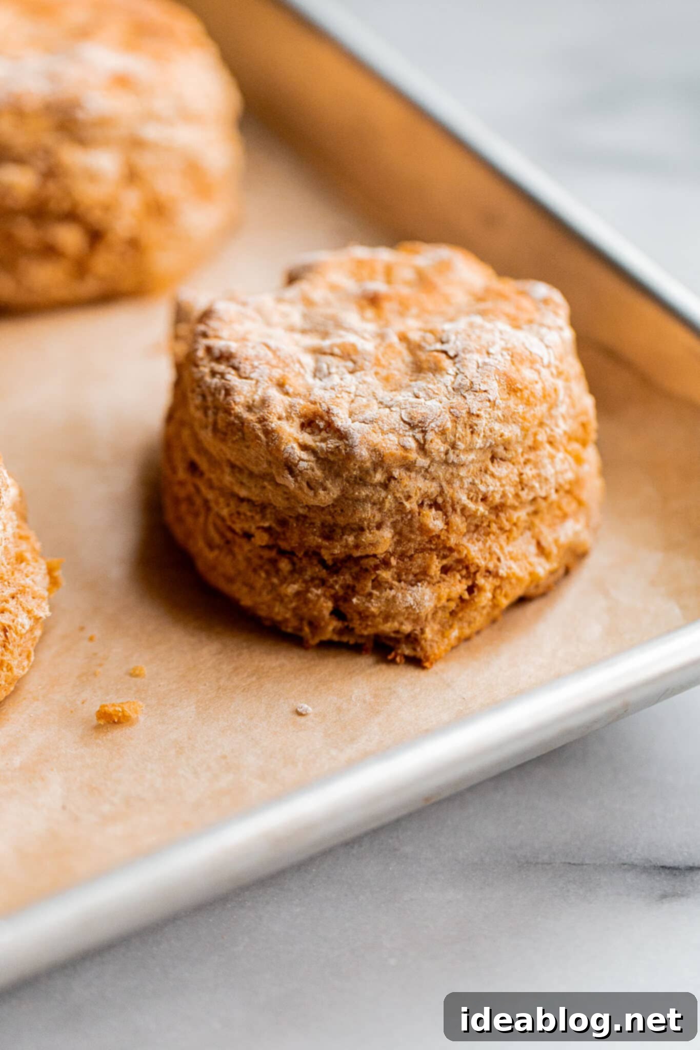 Simple, Wholesome Wheat Biscuits 1 featured 29987