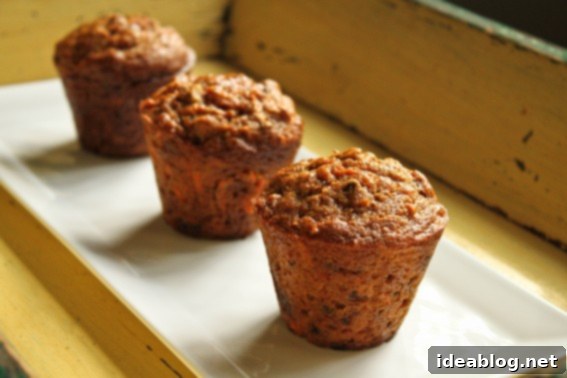 Wholesome Spelt Carrot Pumpkin Muffins 1 featured 305