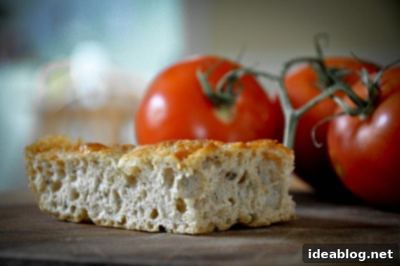 Rustic No-Knead Whole Wheat Cheesy Focaccia 1 featured 307