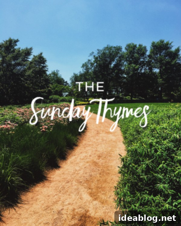 Sunday's Thyme 1 featured 30887