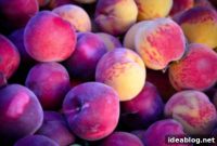 The Heart of the Harvest