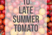 Sun-Ripened Tomato Delights