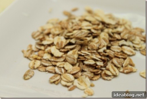 Wholesome Morning Oat Muesli 1 featured 322