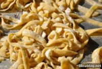 Foraged Mushroom Fettuccine in Cream Sauce