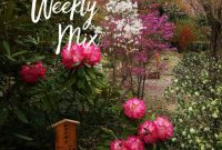 The Weekly Kaleidoscope