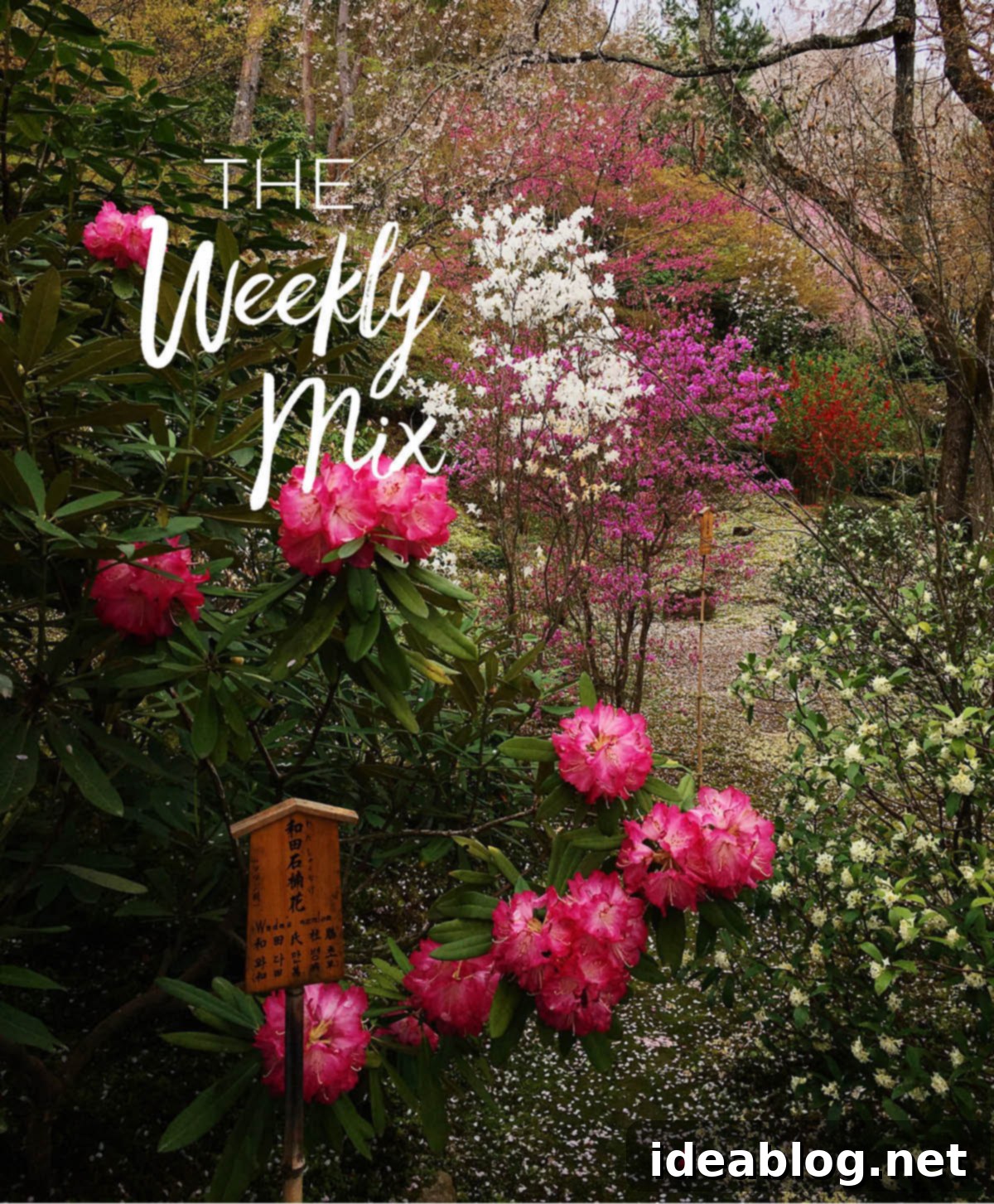 The Weekly Kaleidoscope 1 featured 34311
