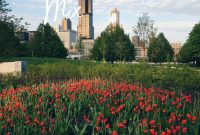 The Weekly Kaleidoscope