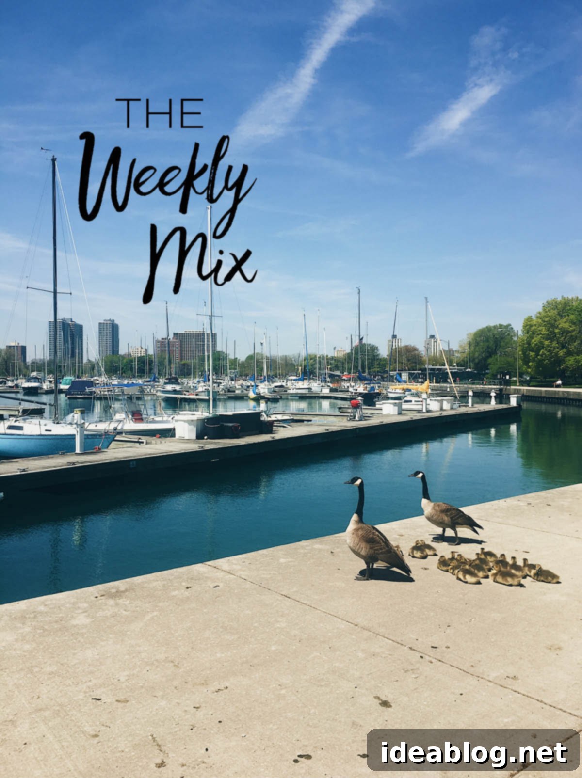 The Weekly Edit 1 featured 34812