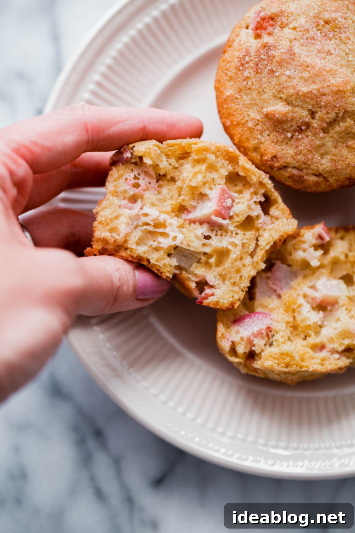 Sunshine Rhubarb Muffins 1 featured 34956