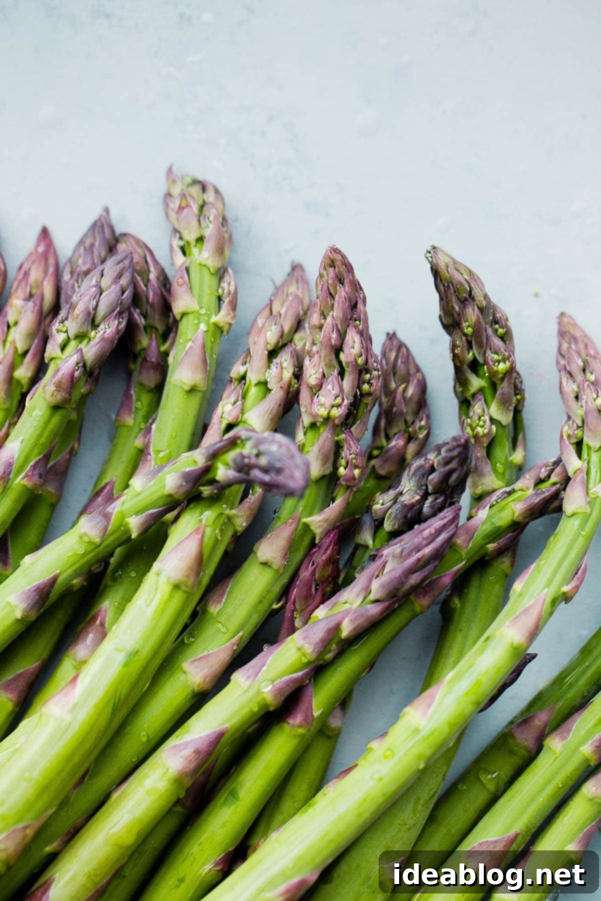 Your Perfect Asparagus Cooking Guide 1 featured 35086