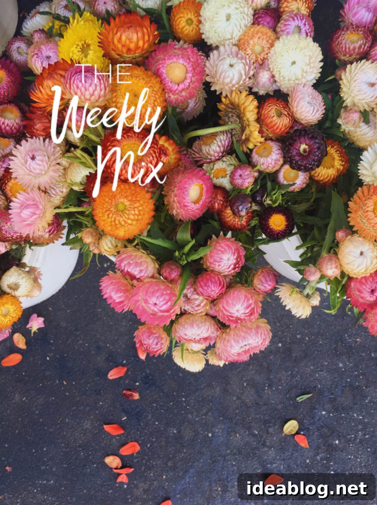 The Weekly Brew 1 featured 35791