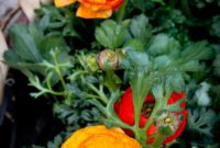 10 Untold Truths About Me