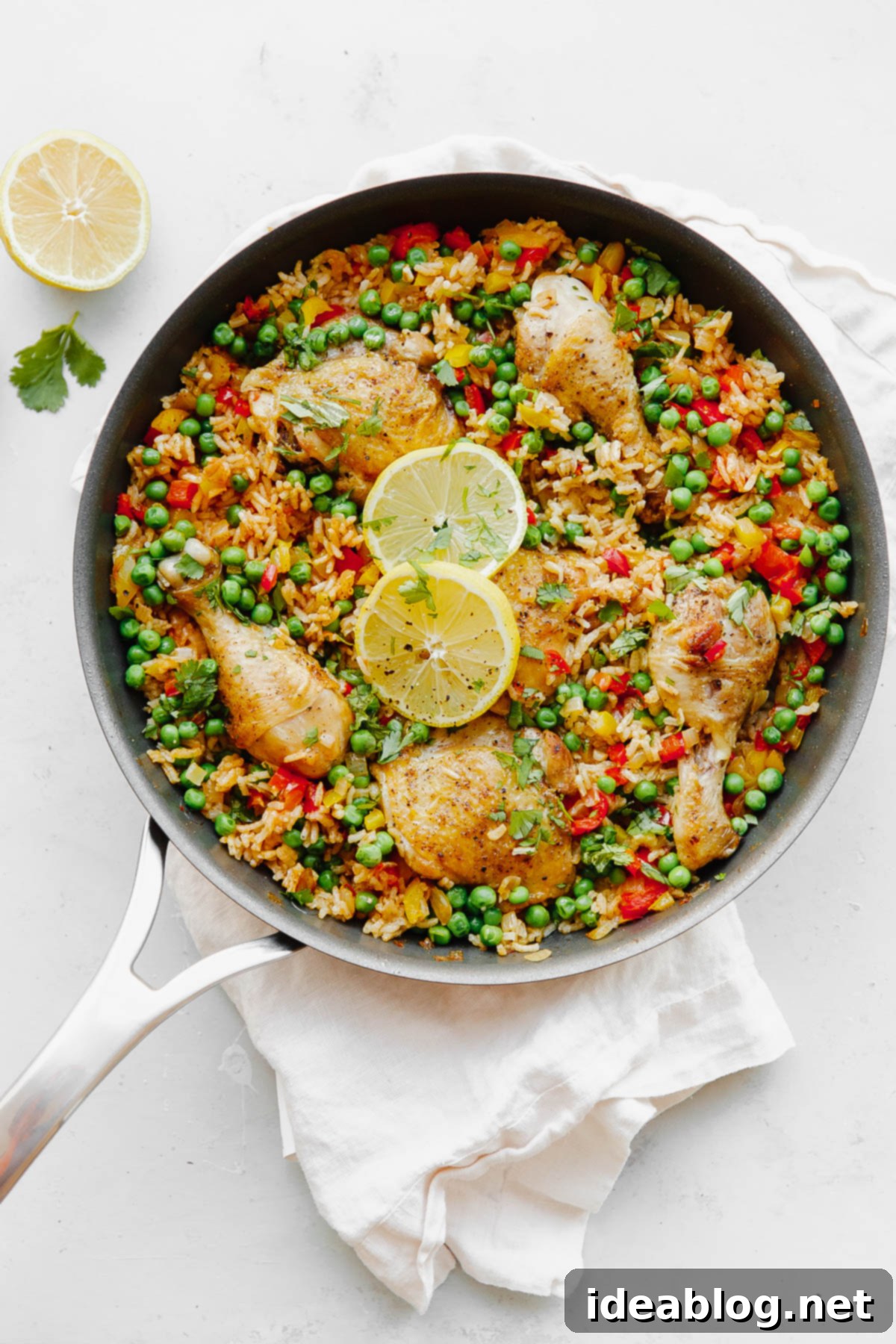 Savory Chicken & Rice Harmony 41 featured 38505
