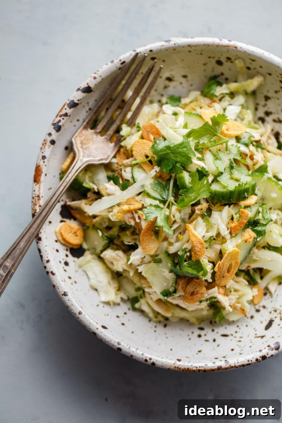 Zesty Burmese Chicken Salad 1 featured 40418