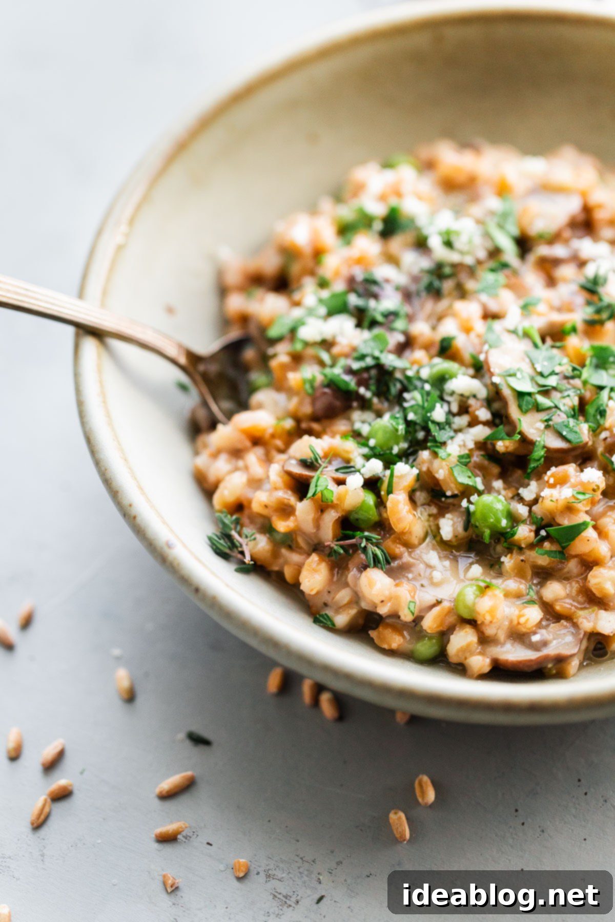 Simple Savory Mushroom Farro Risotto 1 featured 42086