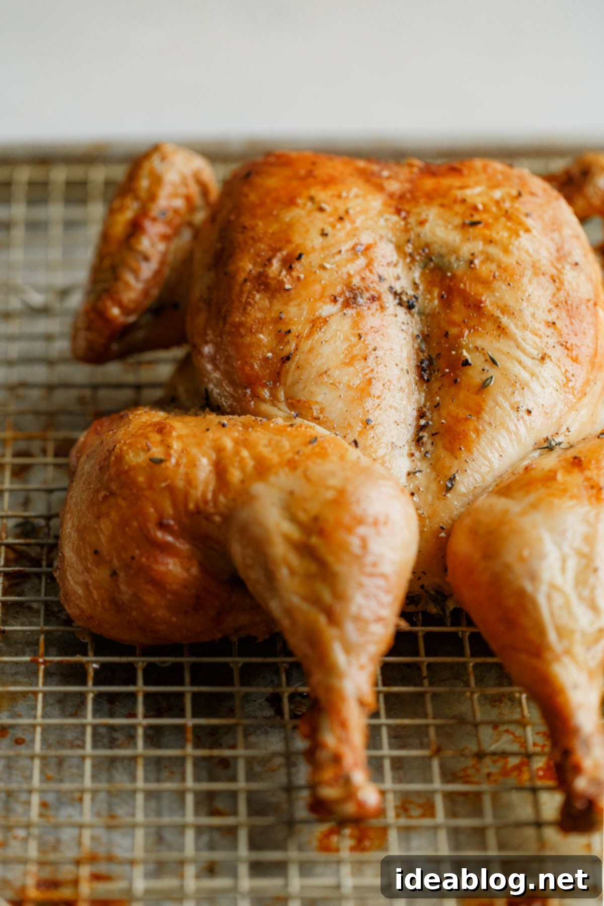 Easy Spatchcock Chicken 1 featured 42125